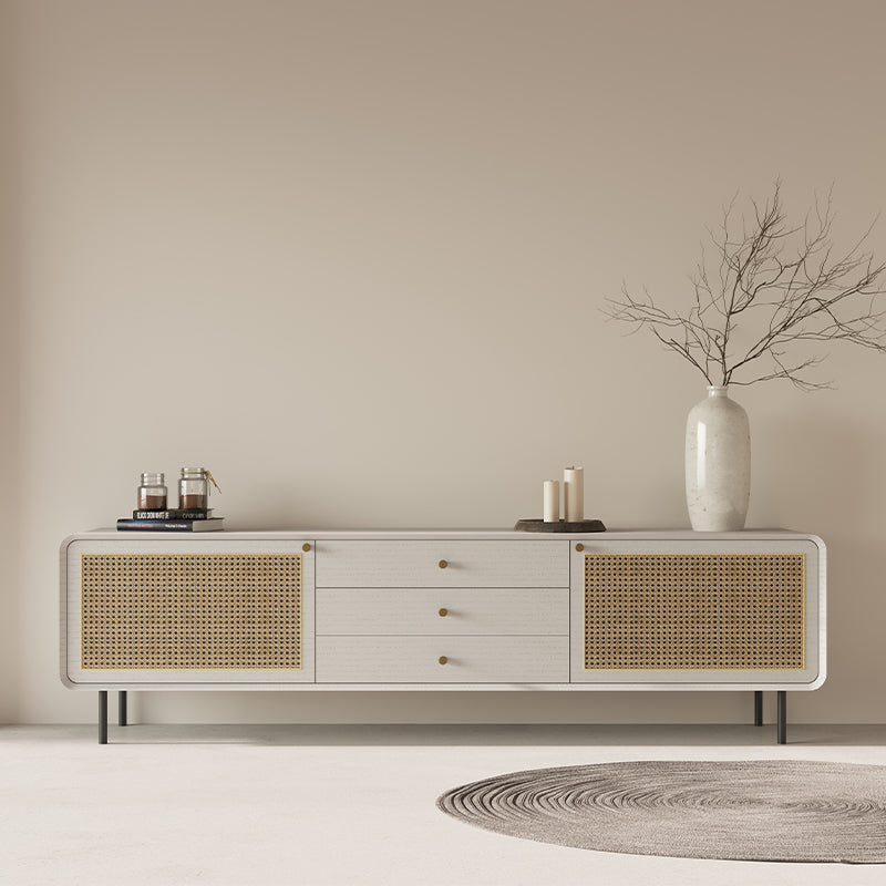 TV cabinet rattan small apartment simple modern living room home minimalist iron foot coffee table TV cabinet combination