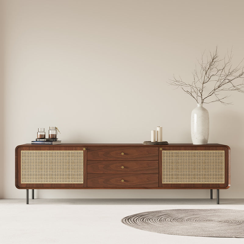 TV cabinet rattan small apartment simple modern living room home minimalist iron foot coffee table TV cabinet combination