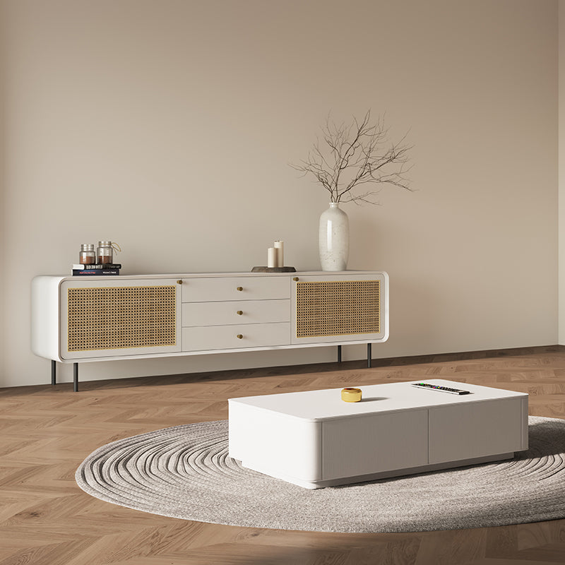TV cabinet rattan small apartment simple modern living room home minimalist iron foot coffee table TV cabinet combination
