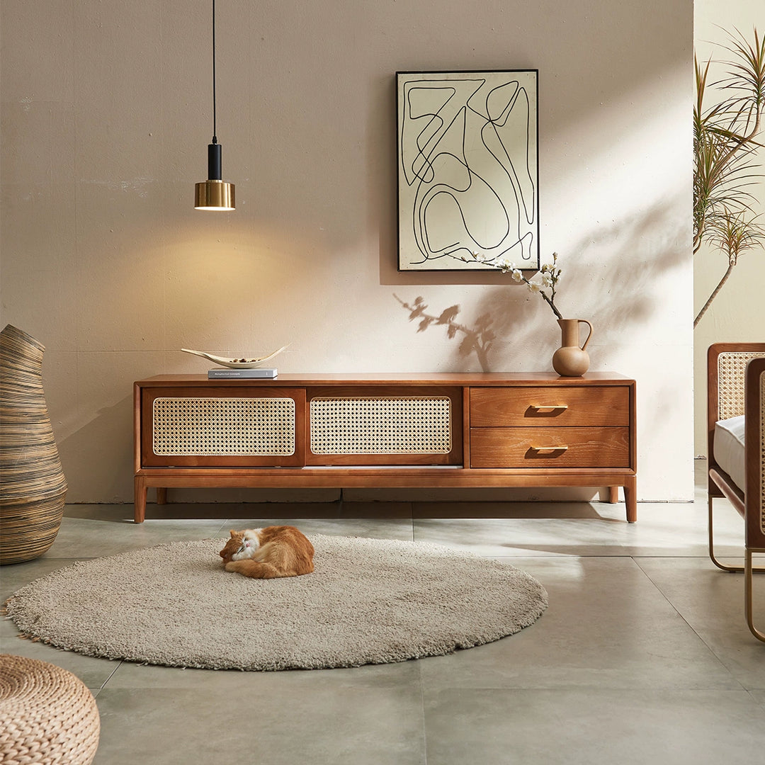 Solid wood rattan TV cabinet living room simple homestay creative rattan locker storage cabinet custom
