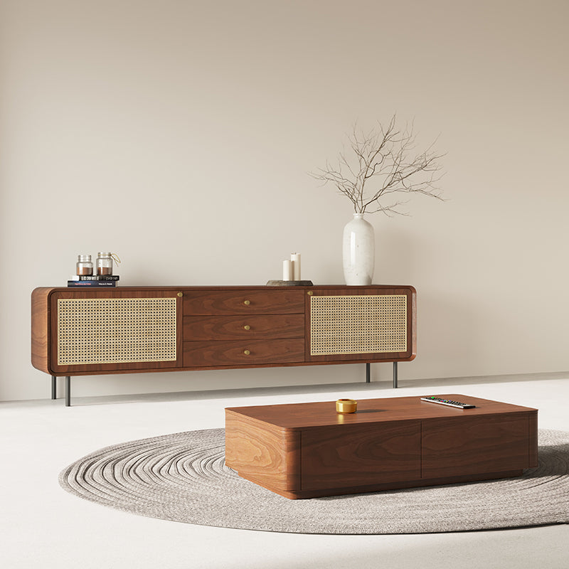TV cabinet rattan small apartment simple modern living room home minimalist iron foot coffee table TV cabinet combination