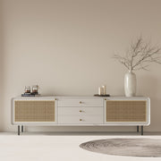 TV cabinet rattan small apartment simple modern living room home minimalist iron foot coffee table TV cabinet combination